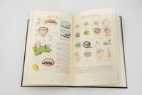 Codex Seraphinianus